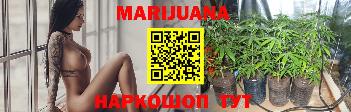 Канабис семена  Вход с VPN  Нефтекамск  Каннабис OG Kush  Марихуана VHQ  Каннабис тримм 